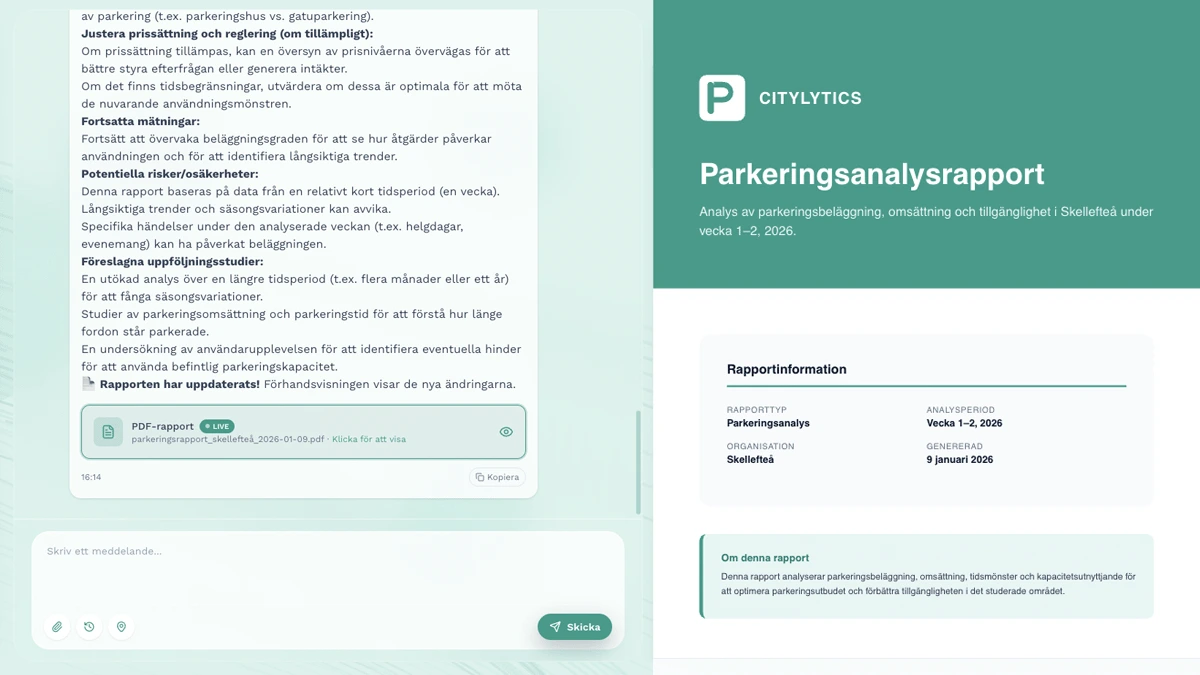Parking report preview generated in Citylytics with title, report information and summary